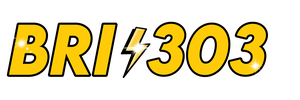 BRI303 logo